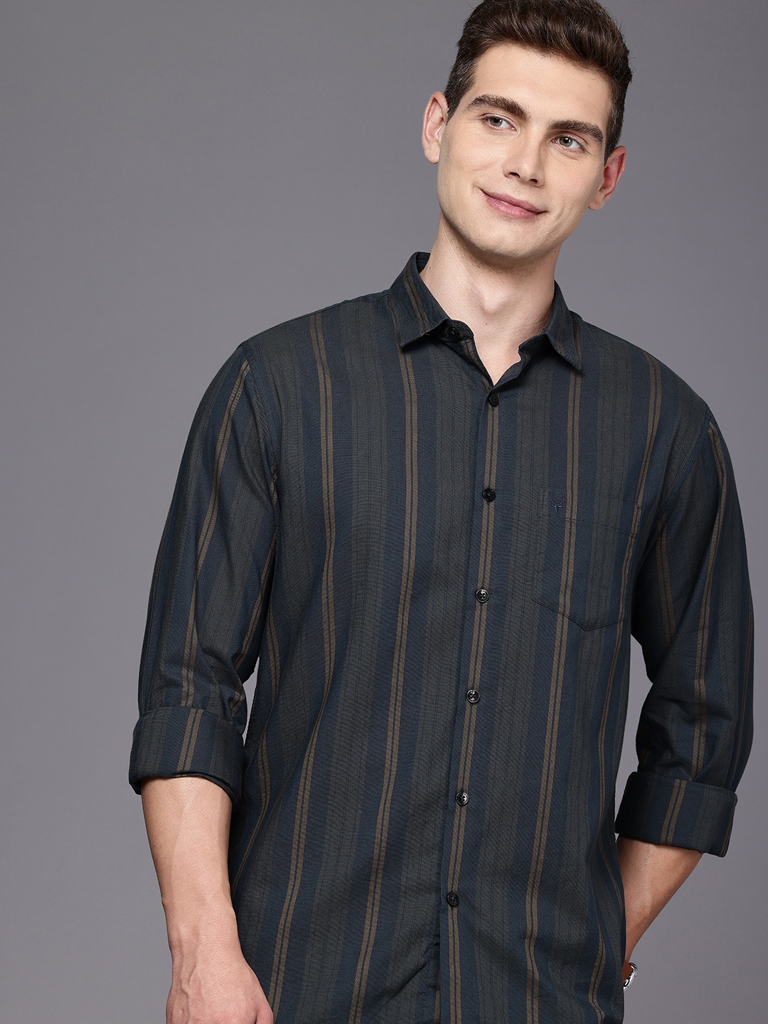 

Allen Solly Classic Fit Vertical Stripes Pure Cotton Casual Shirt, Multi