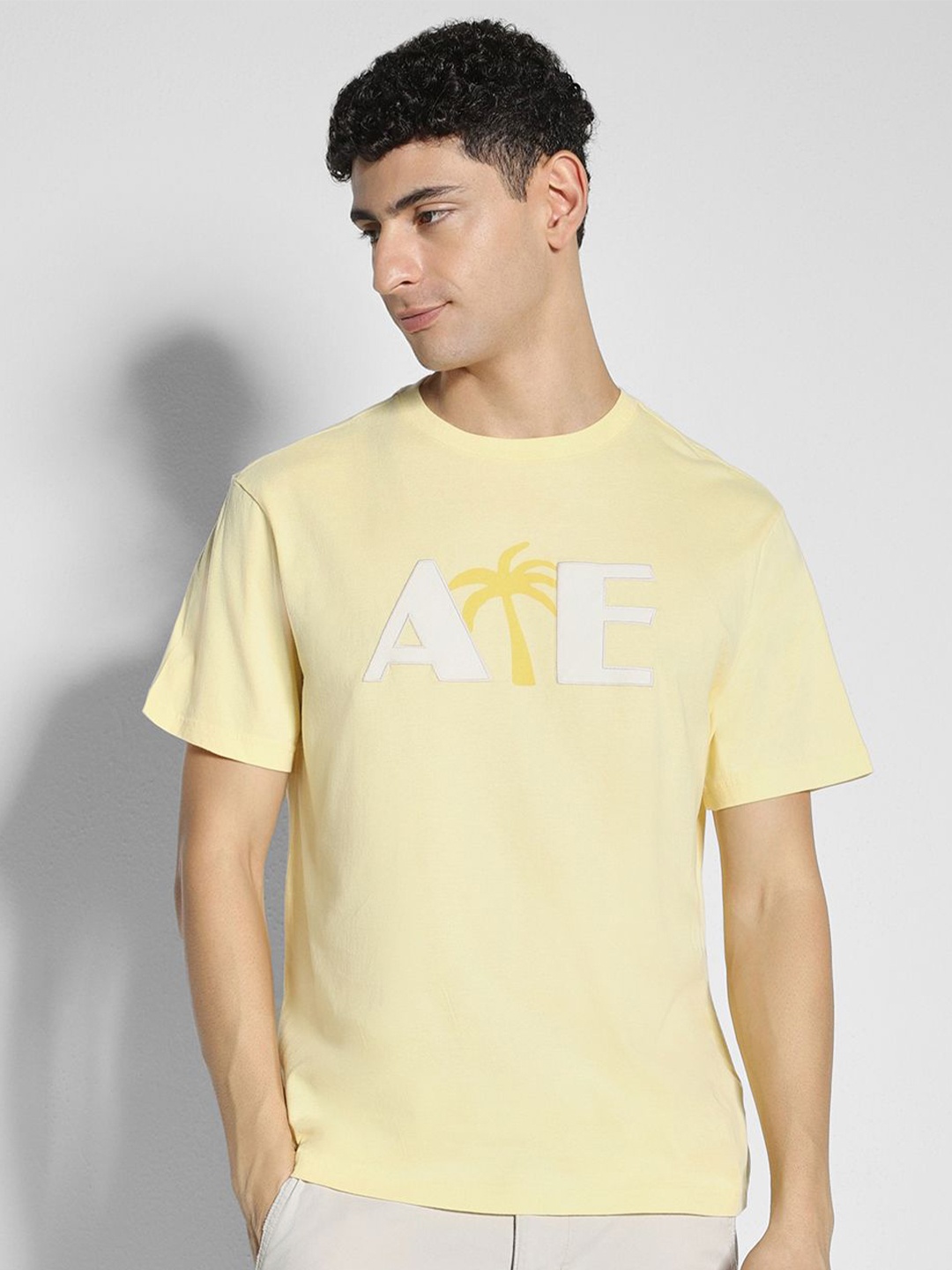 AMERICAN EAGLE OUTFITTERS Men Round Neck Embroidered Cotton T-shirt, Yellow