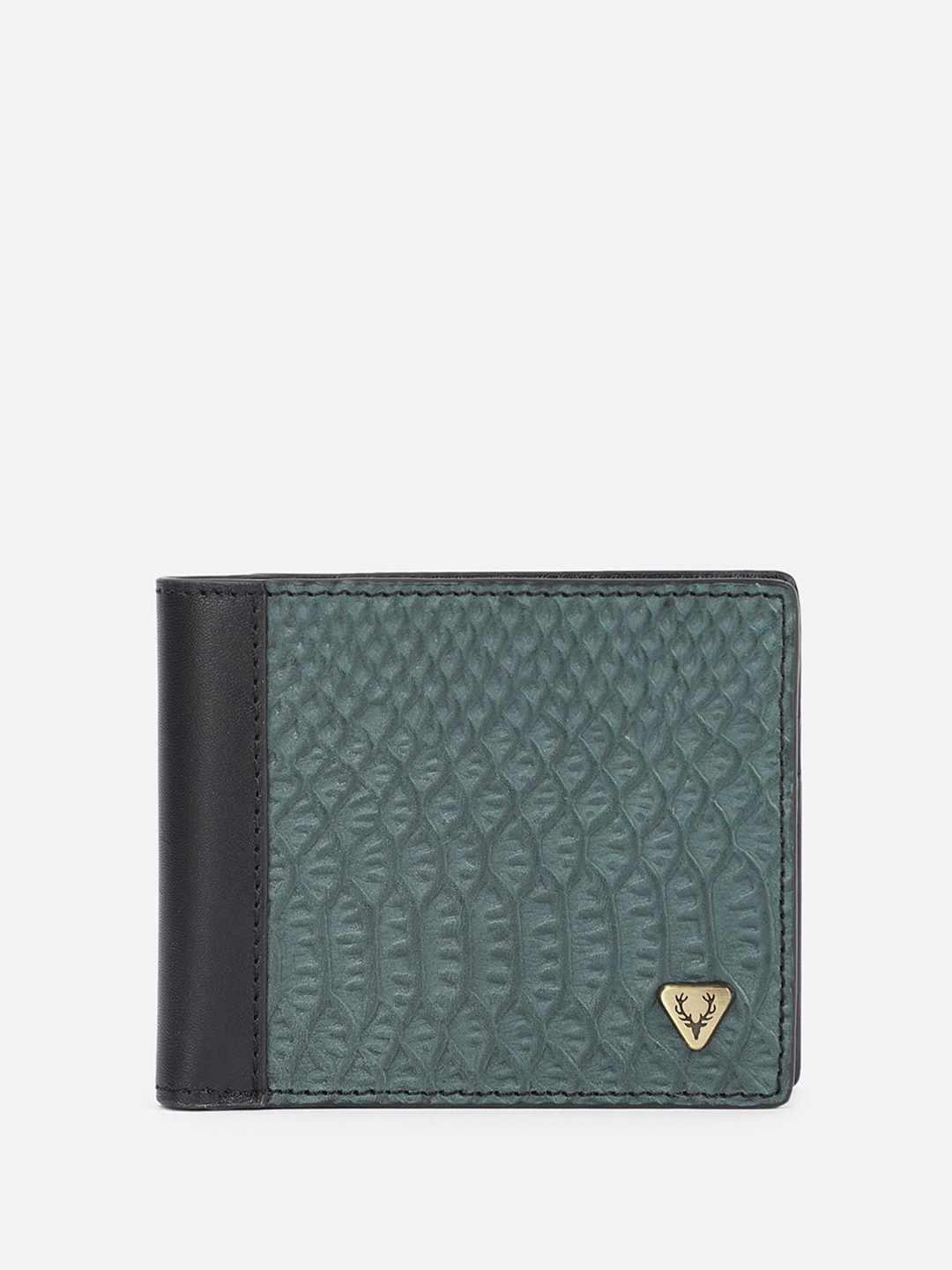 

Allen Solly Men Textured Leather Two Fold Wallet, Green