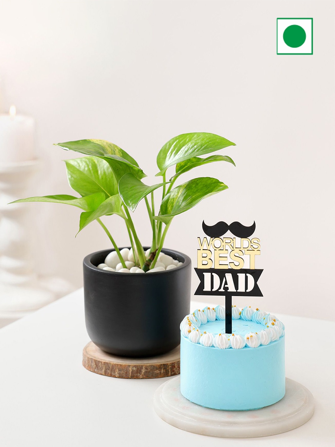 

IGP Set Of 2 World's Best Dad Money Plant & Cake Combo, Blue