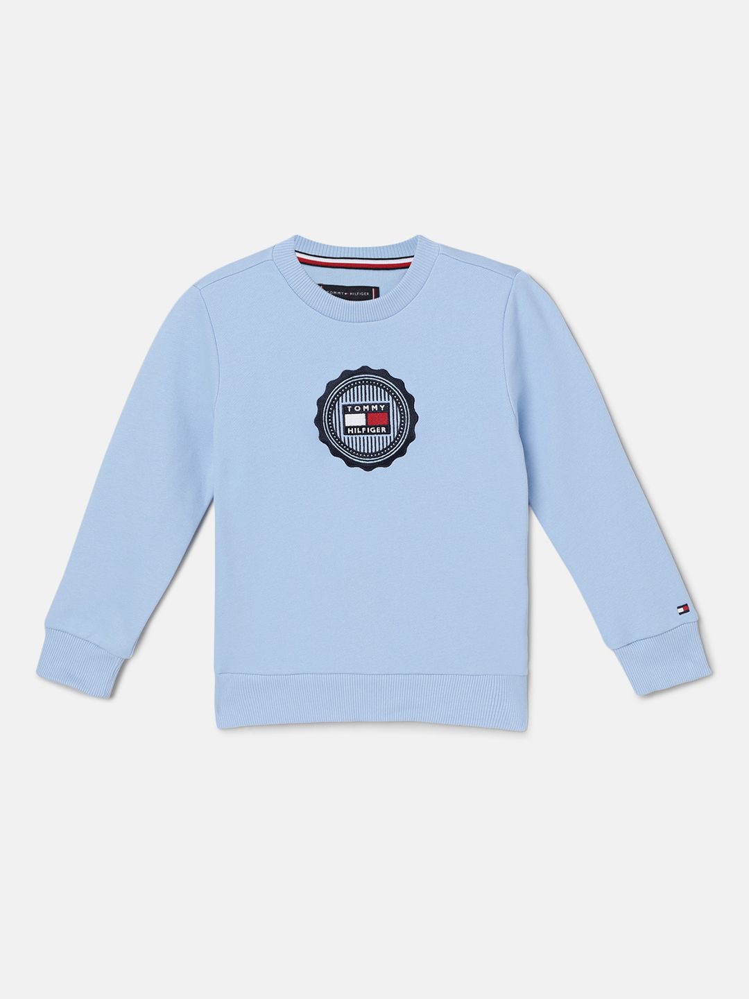 

Tommy Hilfiger Boys Printed Sweatshirt, Blue