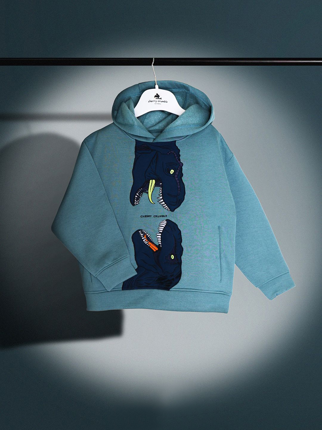 

Cherry Crumble Boys Printed Hooded Sweatshirt, Teal