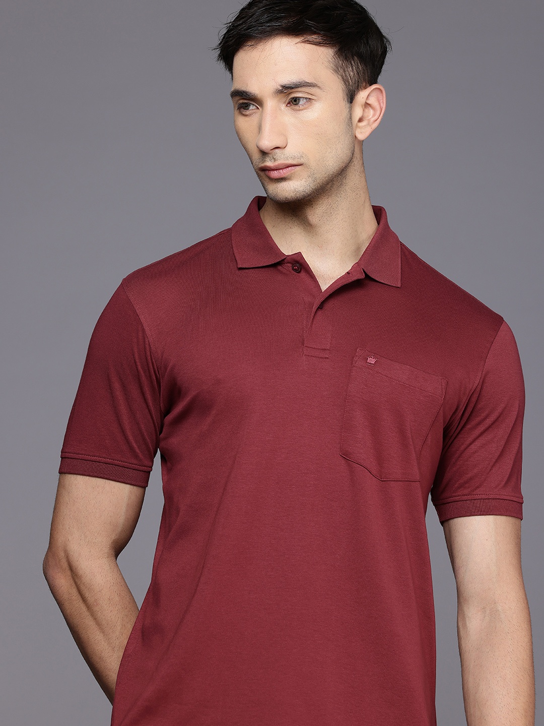 

Louis Philippe Polo Collar Pure Cotton T-shirt, Maroon