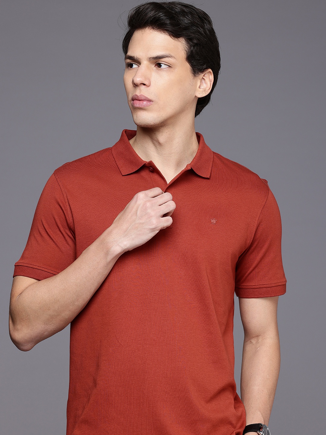 

Louis Philippe Polo Collar Pure Cotton T-shirt, Rust