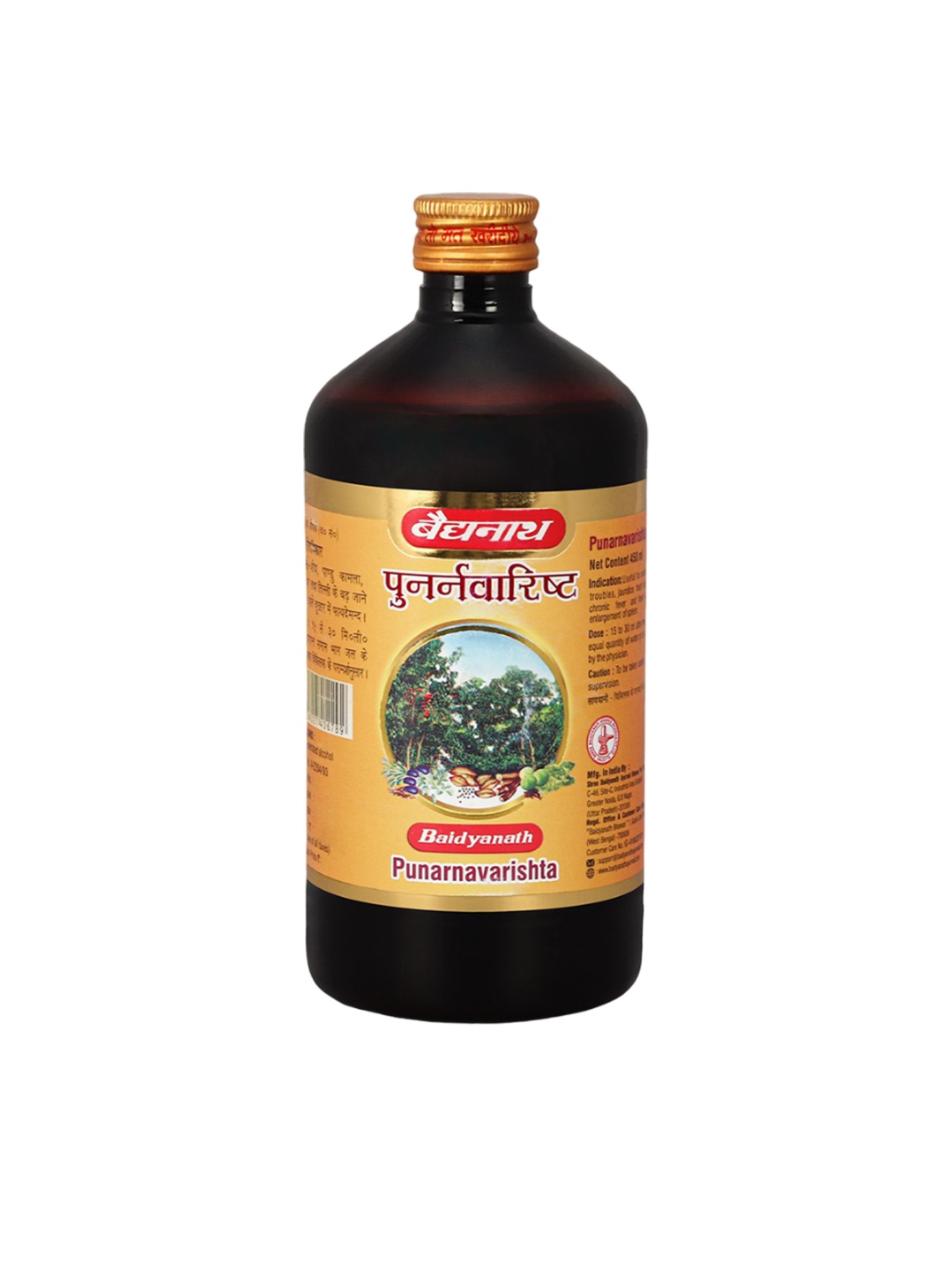 

Baidyanath Punarnavarishta Syrup for Liver & Kidney Problems - 450 ml, Orange