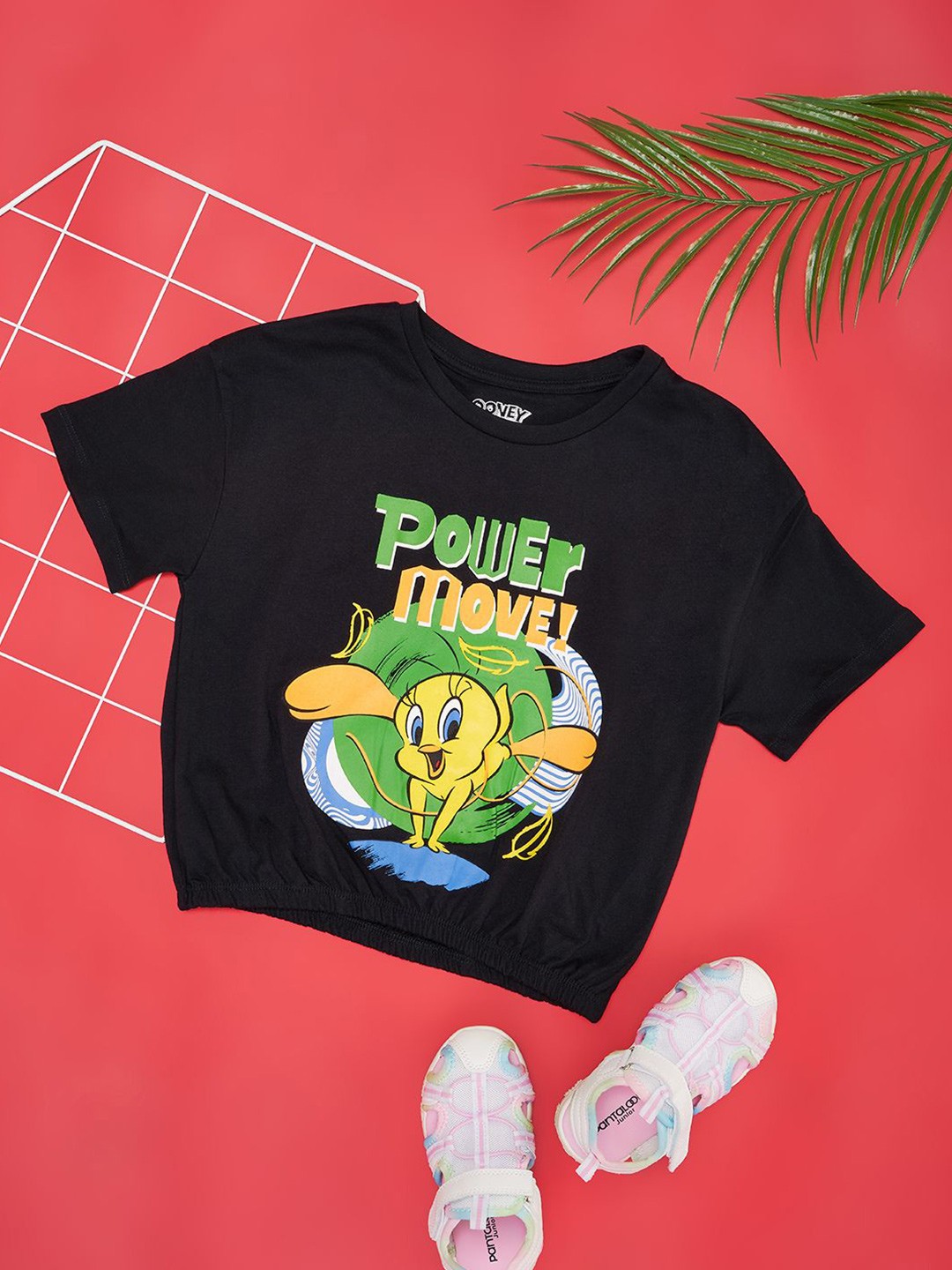

Pantaloons Junior Girls Graphic Tweety Printed Round Neck Crop T-shirt, Black