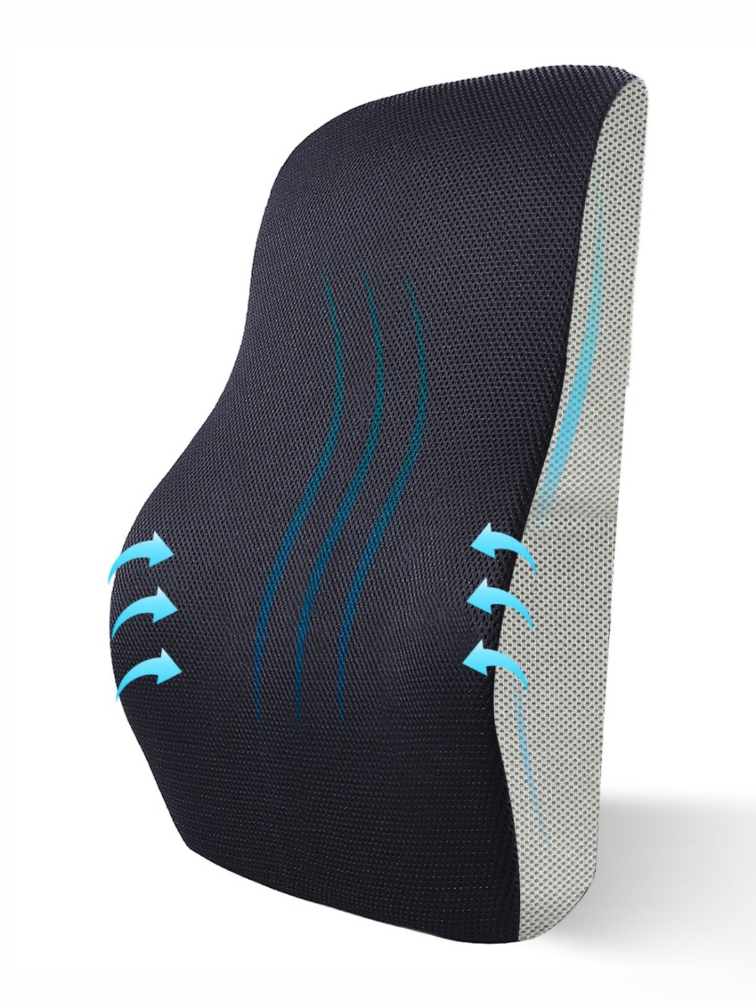 

Sleepsia Black & Blue Backrest Therapedic Pillow