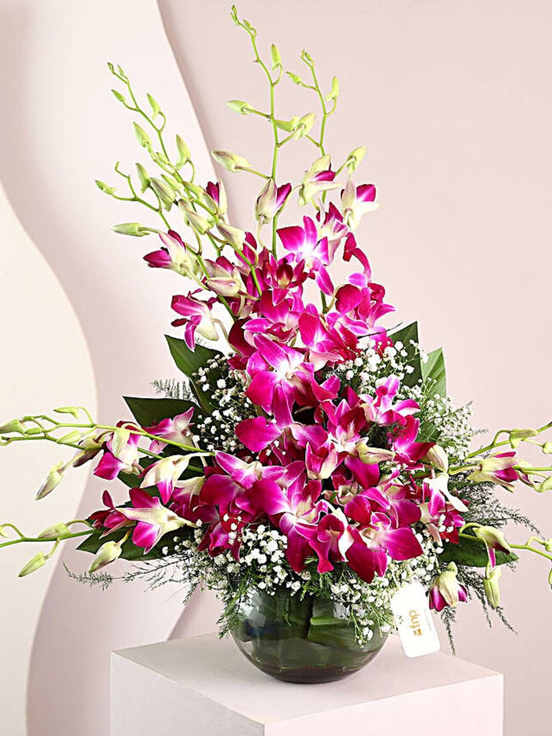 

fnp Purple & Green 12 Pieces Orchids Fresh Flowers Bouquet