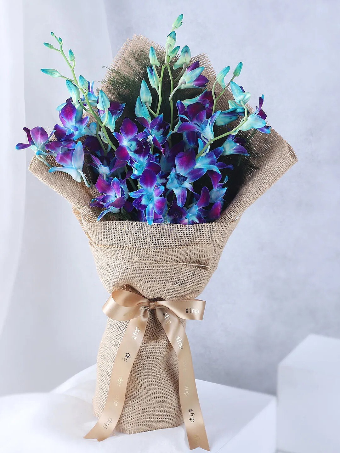 

fnp Blue & Green 6 Pieces Orchids Fresh Flowers Bouquet