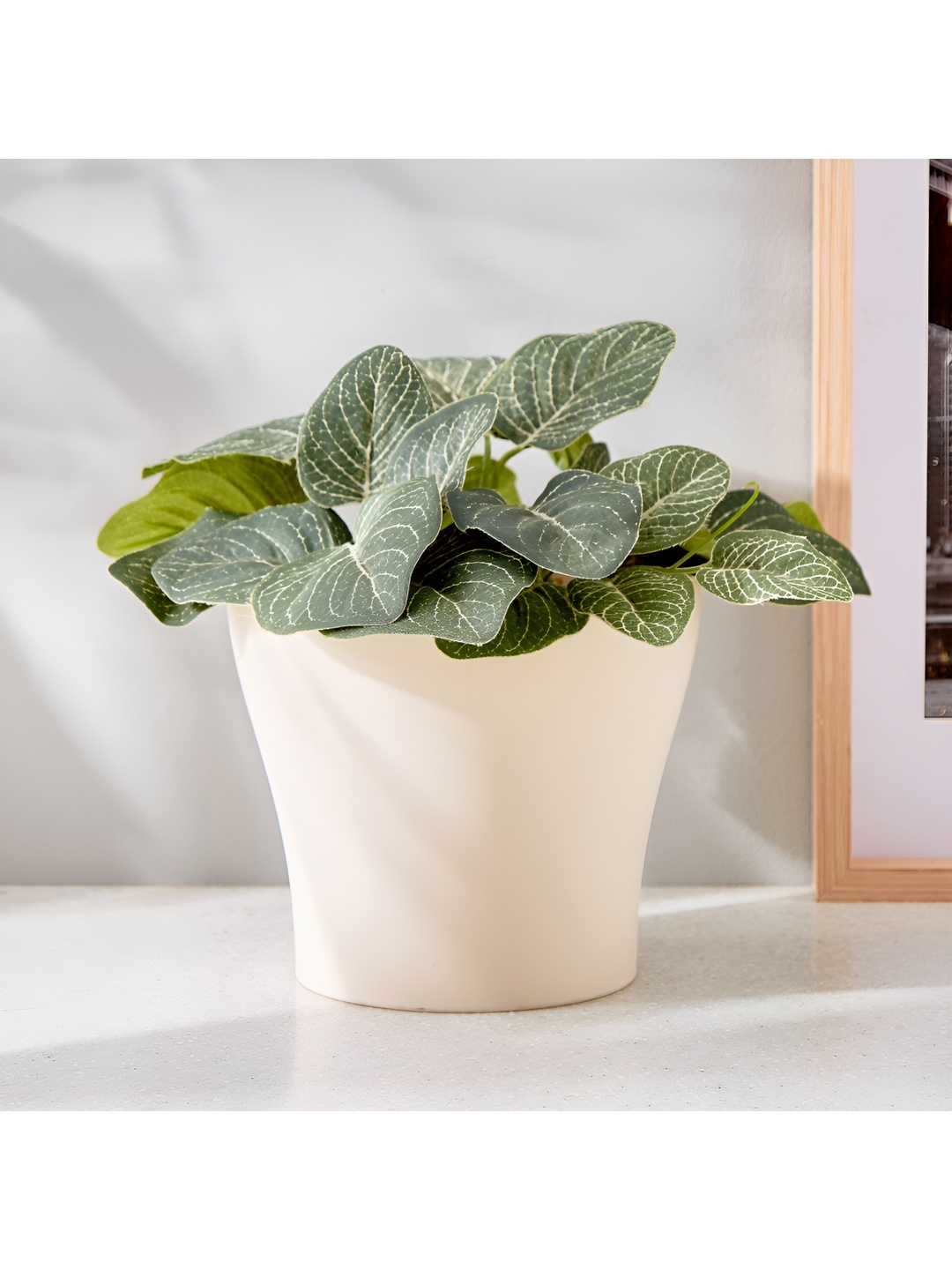 

Home Centre Cream-Coloured Plastic Planter