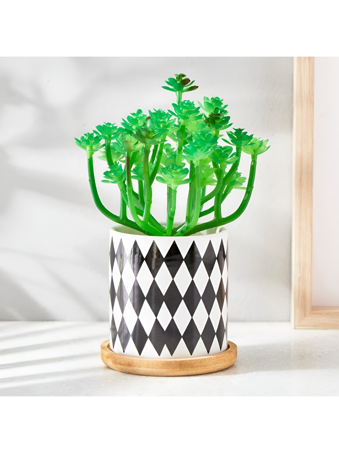 

Home Centre Black & White Ceramic Planter With Pot