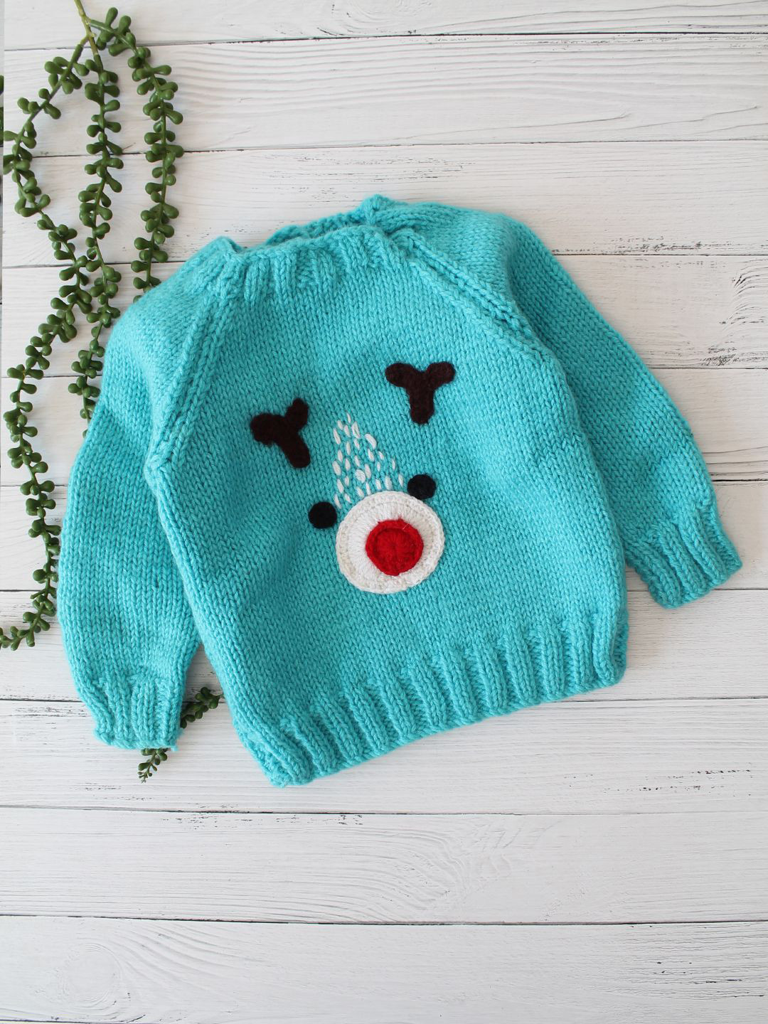 

Woonie Unisex Kids Animal Pullover, Blue