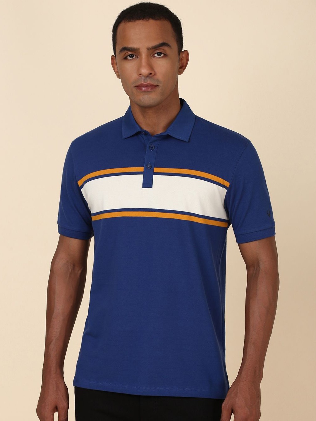 

Allen Solly Men Colourblocked Polo Collar T-shirt, Blue