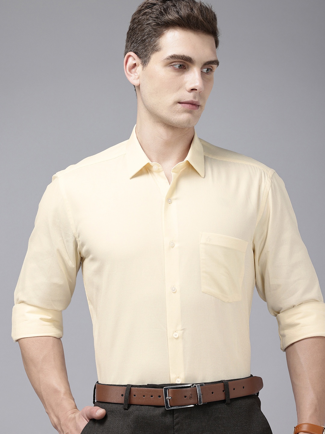 

Arrow Pure Cotton Manhattan Slim Fit Self Design Textured Formal Shirt, Cream