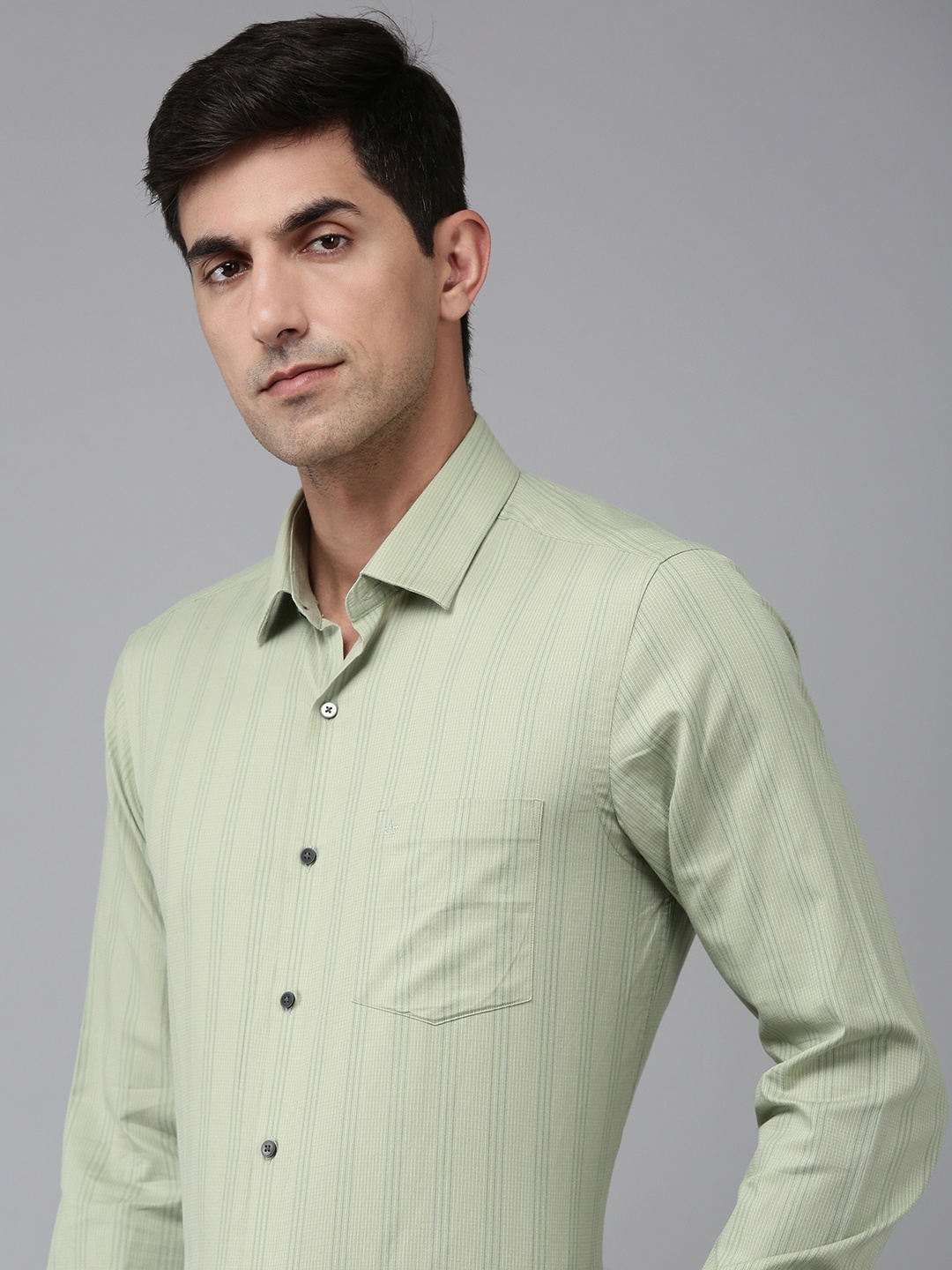 

Arrow Pure Cotton Manhattan Slim Fit Opaque Striped Formal Shirt, Green