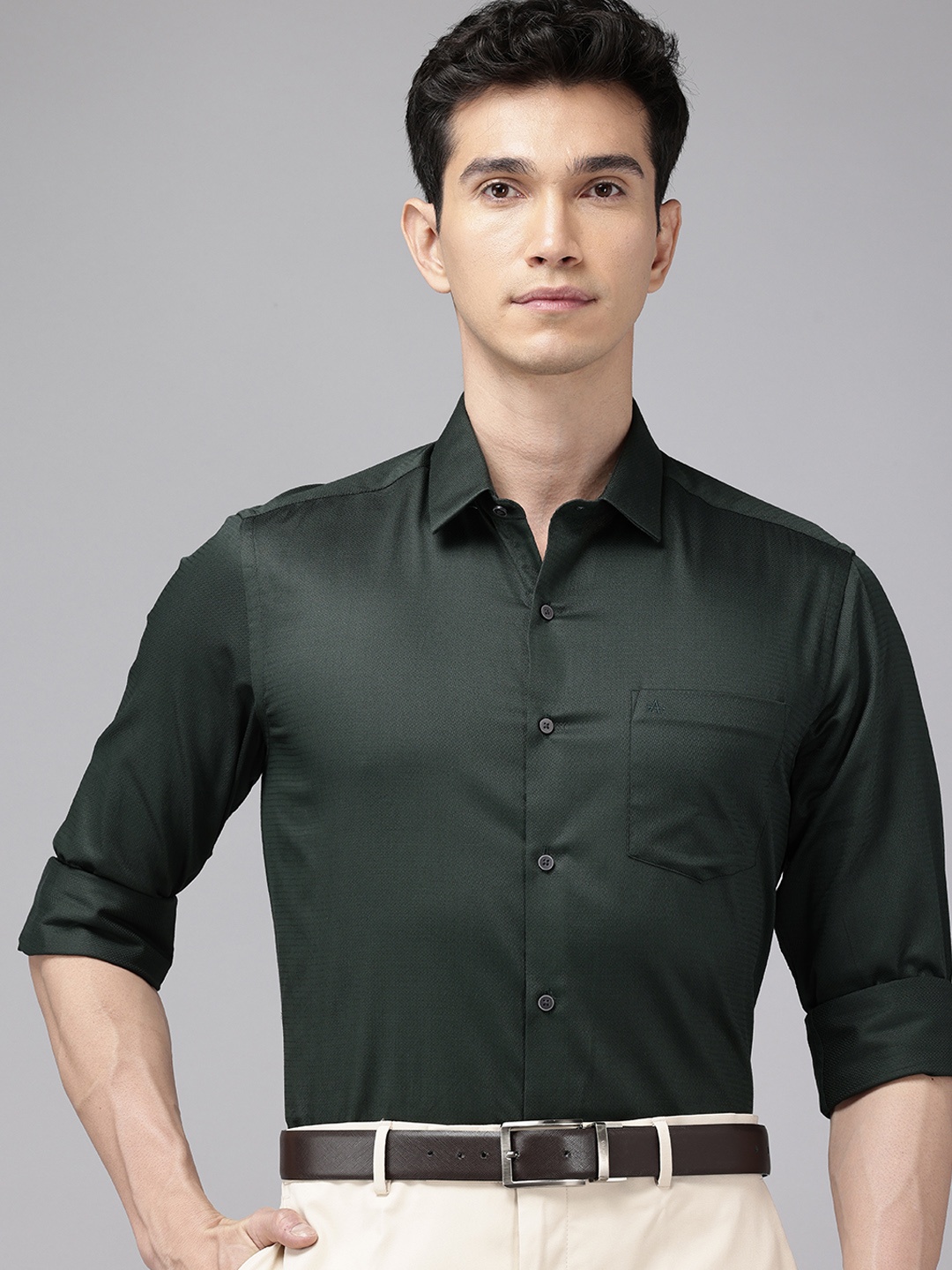 

Arrow Pure Cotton Self-Design Textured Manhattan Slim Fit Formal Shirt, Green