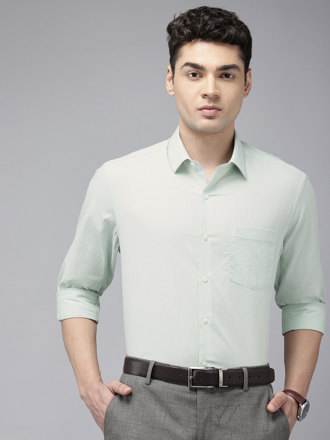 

Arrow Self Design Manhattan Slim Fit Opaque Pure Cotton Formal Shirt, Green