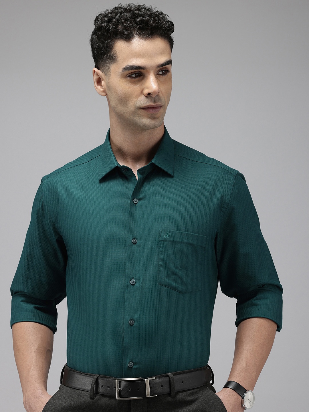 

Arrow Pure Cotton Self Design Textured Manhattan Slim Fit Opaque Formal Shirt, Green