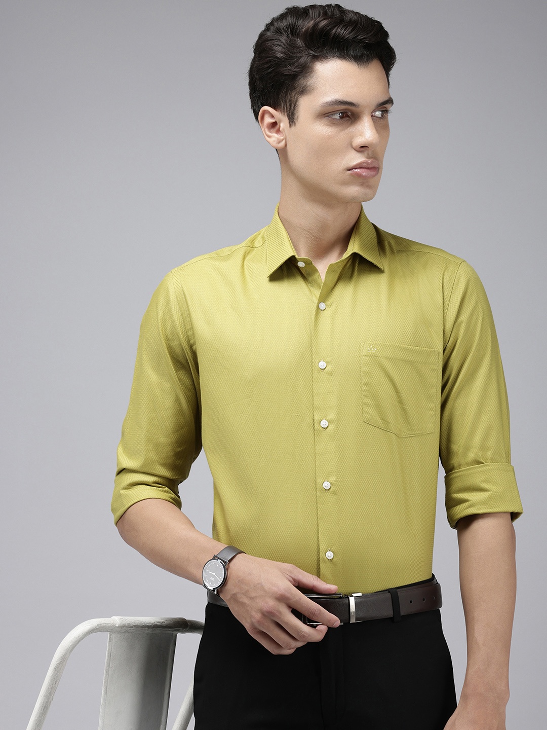 

Arrow Pure Cotton Textured Manhattan Slim Fit Opaque Formal Shirt, Green