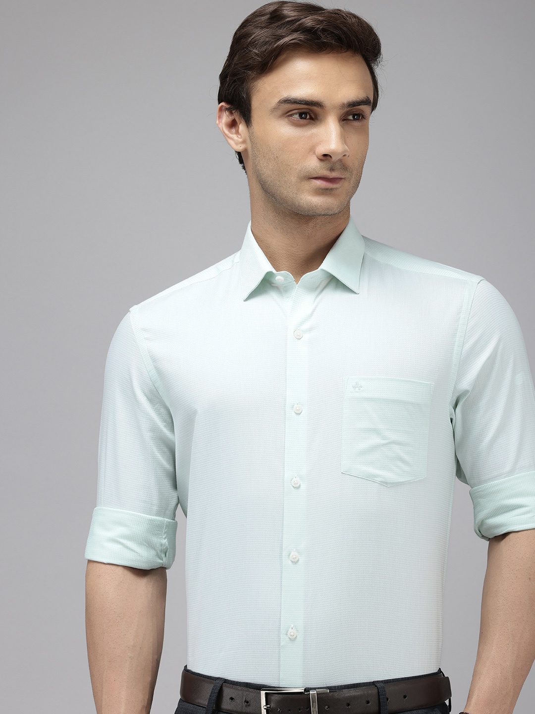 

Arrow Self Design Manhattan Slim Fit Opaque Pure Cotton Formal Shirt, Green