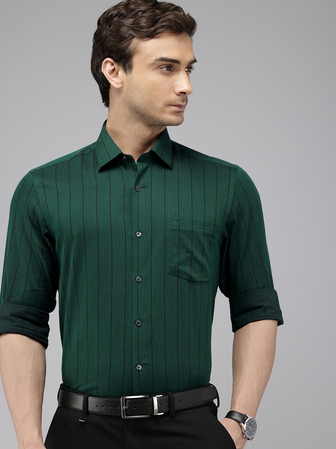 

Arrow Pure Cotton Manhattan Slim Fit Opaque Striped Formal Shirt, Green