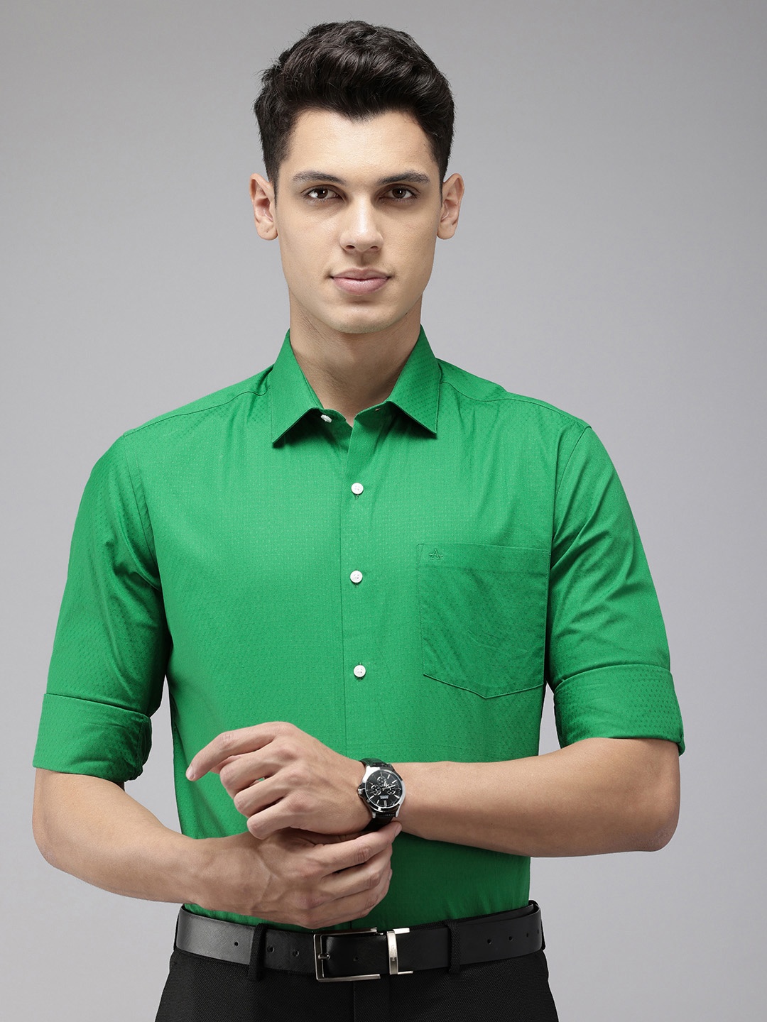 

Arrow Originals Manhattan Slim Fit Textured Pure Cotton Formal Shirt, Green