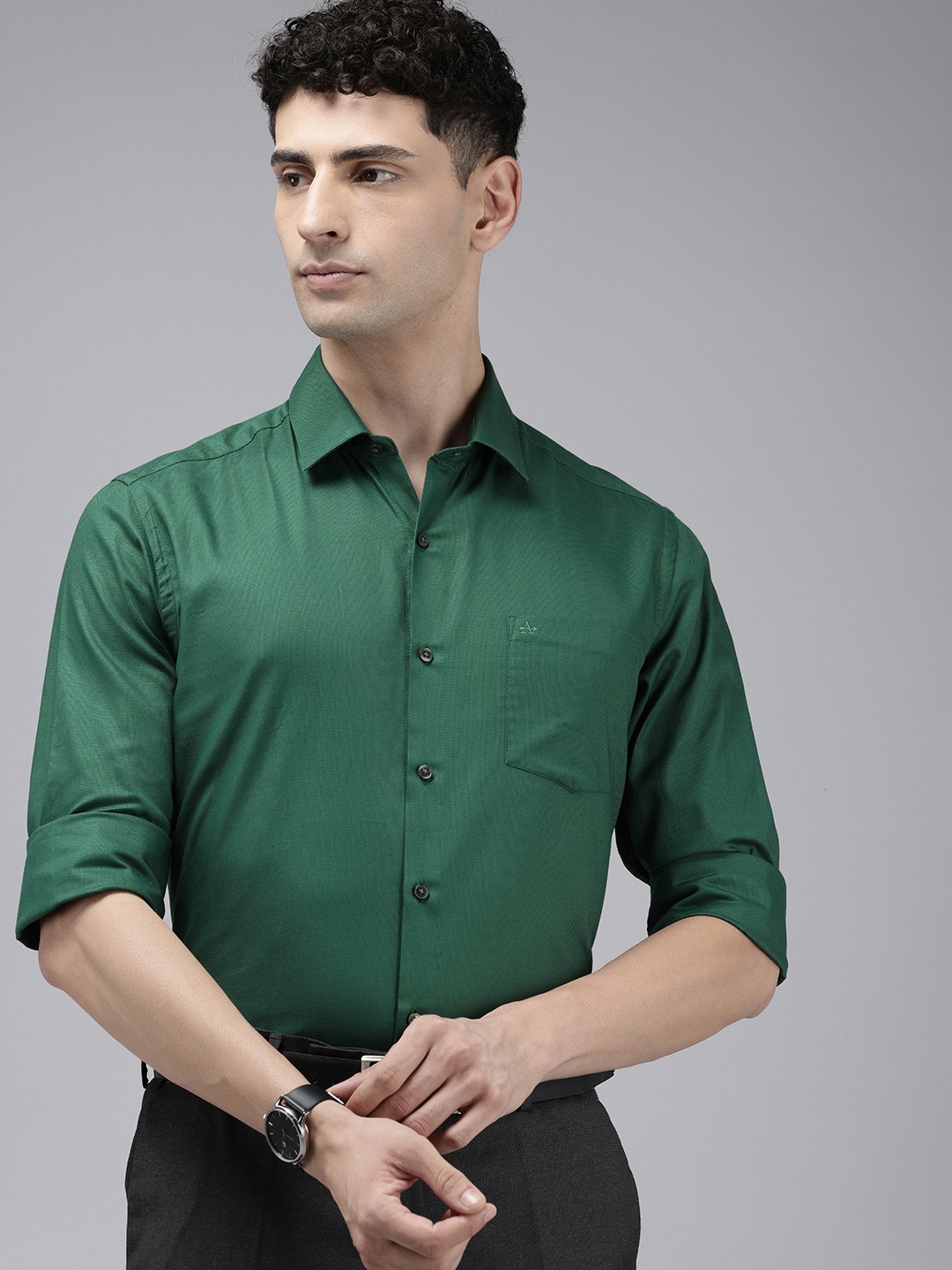 

Arrow Pure Cotton Textured Manhattan Slim Fit Opaque Formal Shirt, Green
