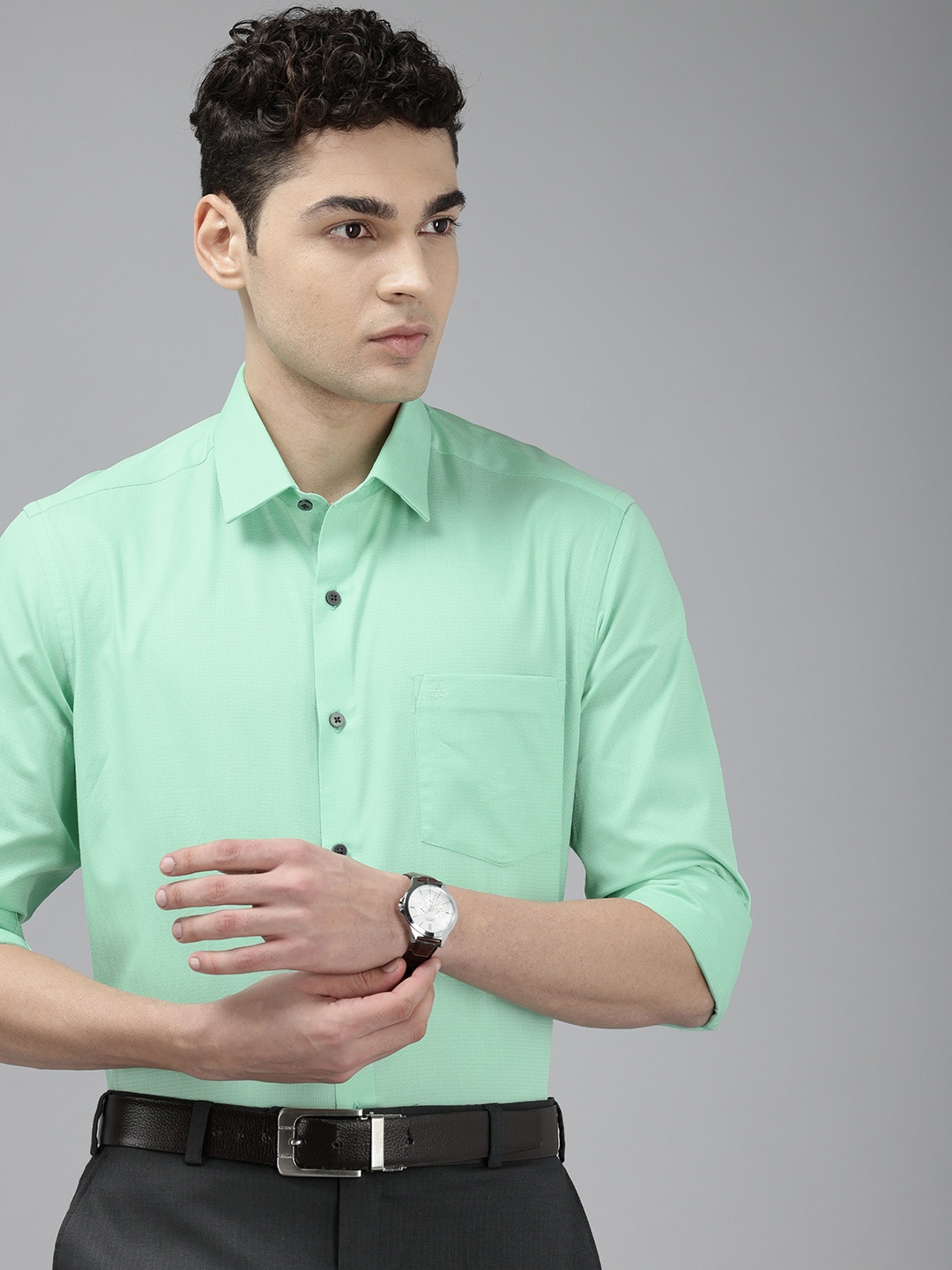

Arrow Manhattan Slim Fit Opaque Pure Cotton Formal Shirt, Green