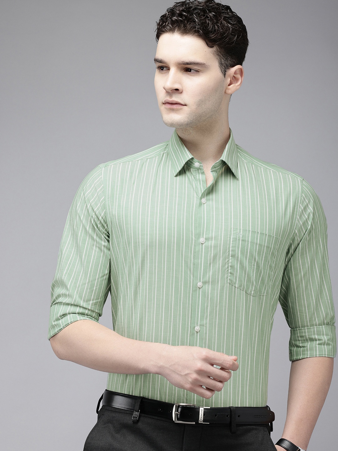 

Arrow Manhattan Slim Fit Opaque Striped Pure Cotton Formal Shirt, Green