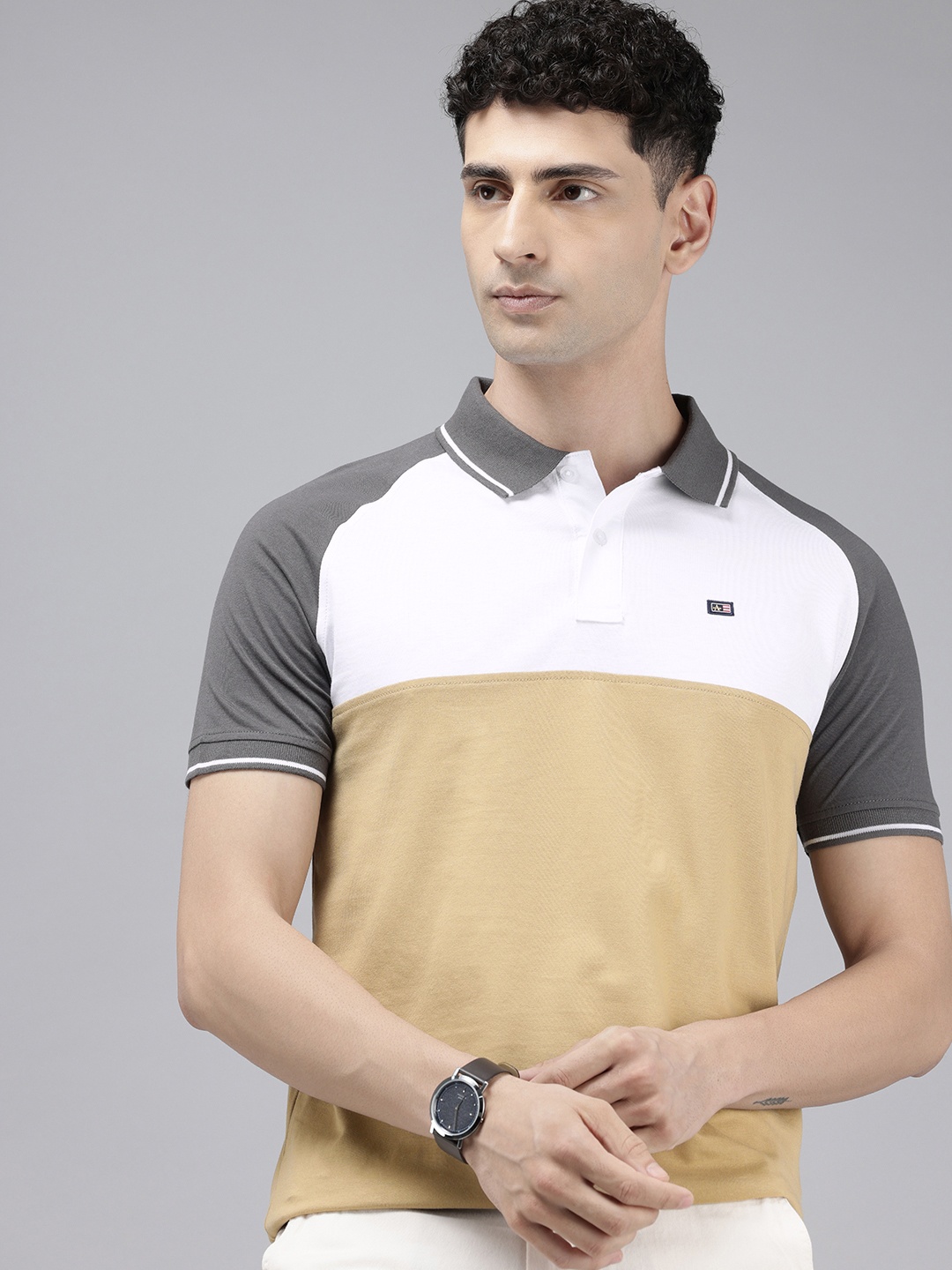 

Arrow Sport Colourblocked Polo Collar T-shirt, Grey