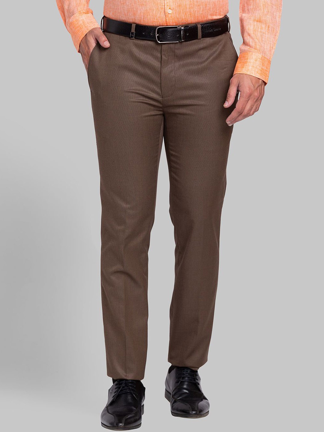 

Park Avenue Men Slim Fit Trousers, Brown