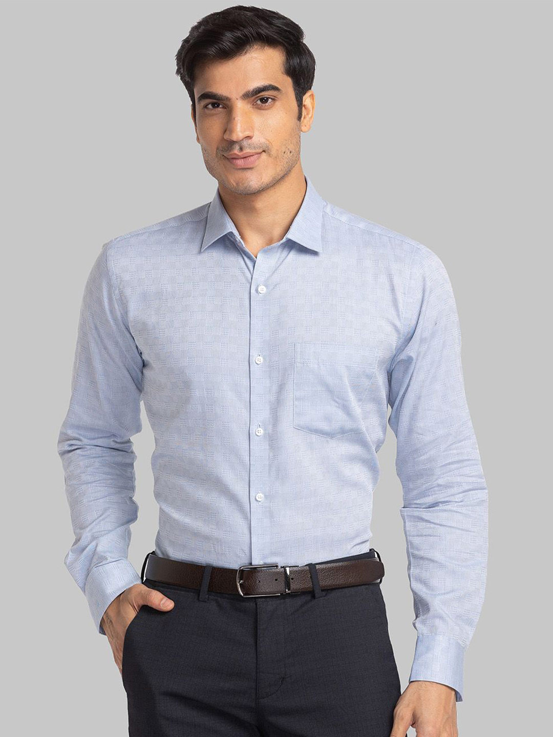 

Park Avenue Men Slim Fit Opaque Checked Formal Shirt, Blue