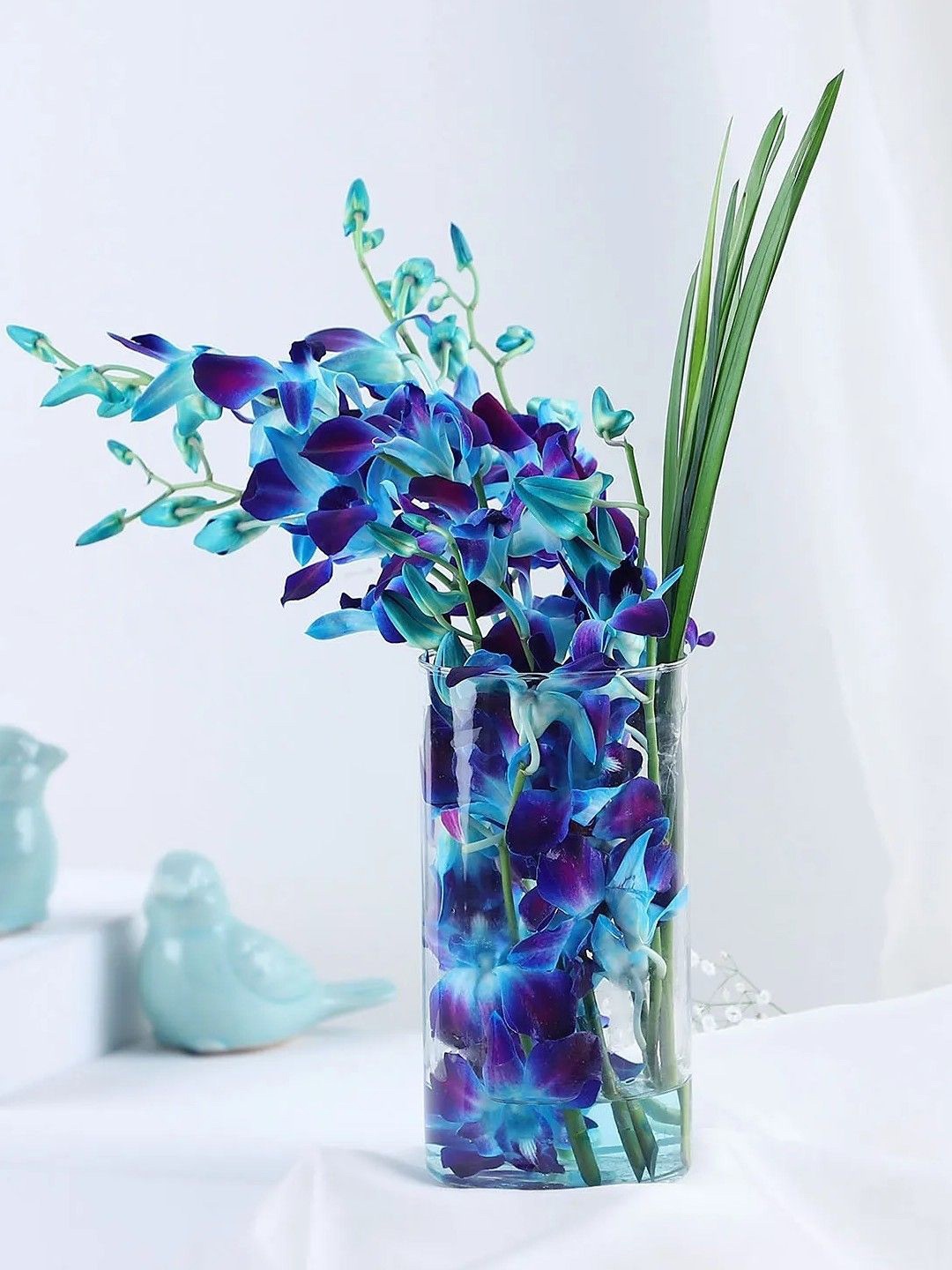 

fnp Blue & Green 12 Pieces Lovely Orchids & Dandella Fresh Flowers In Cylindrical Vase