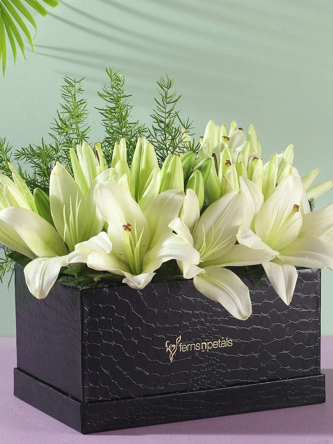 

Fnp White 10 Pieces Asiatic Lilies Box Arrangement