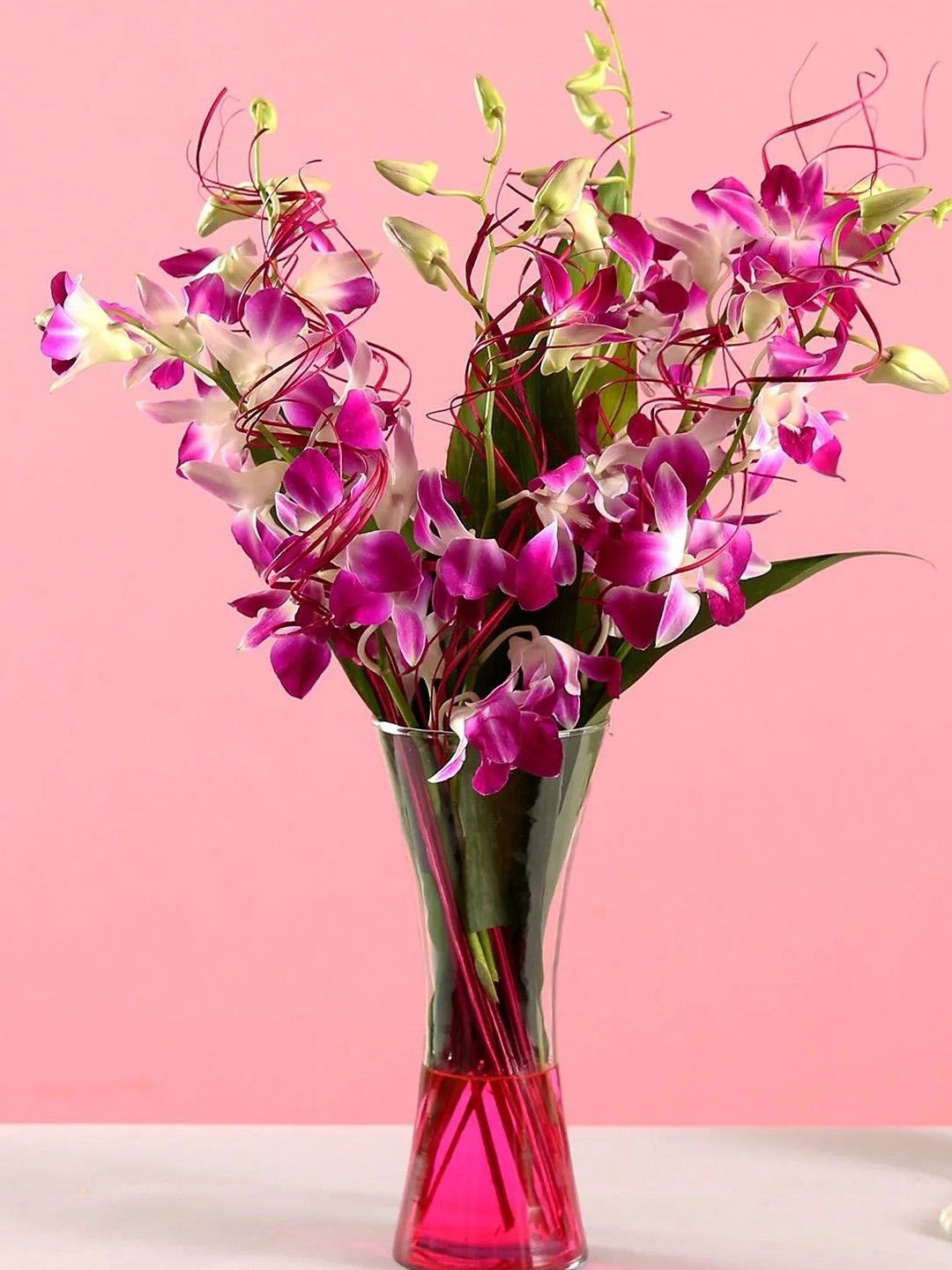 

fnp Purple & Green 12 Pieces Carnations Fresh Flowers Bouquet