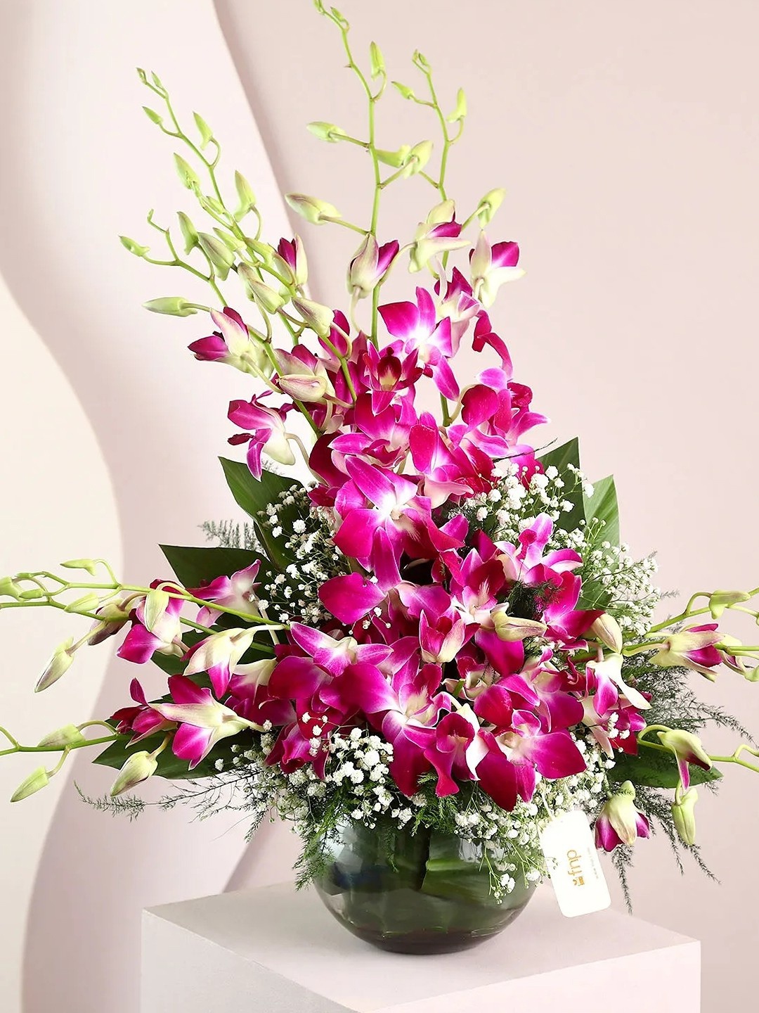 

fnp Pink & Green 12 Pieces Orchids Fresh Flowers Vase