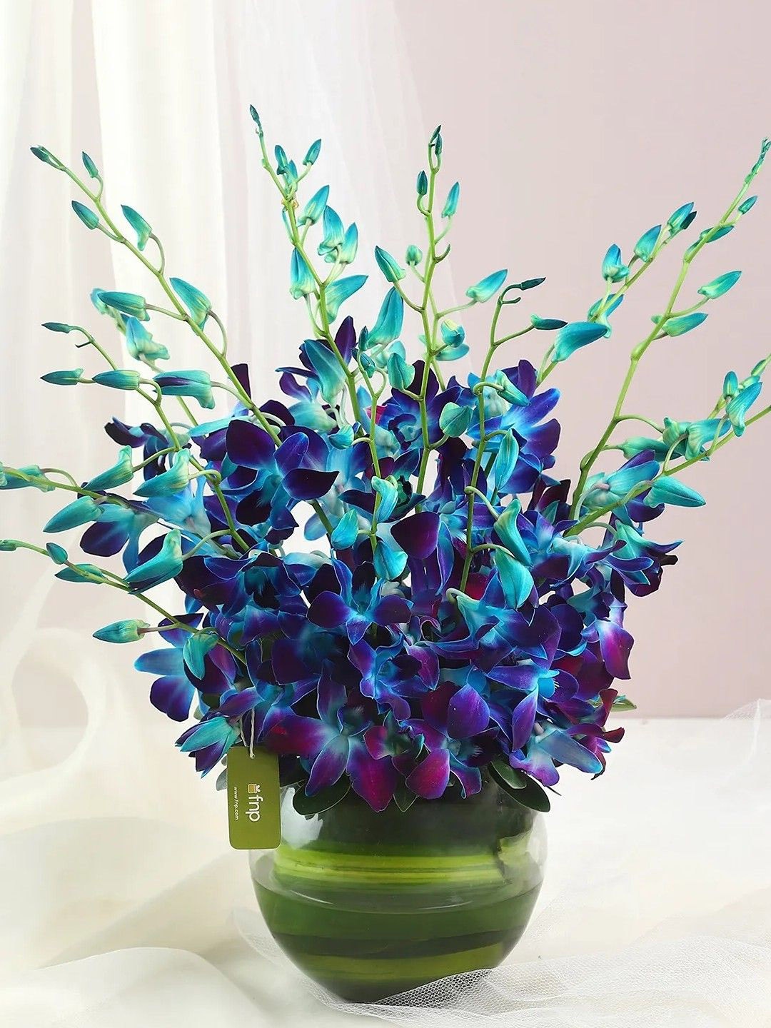 

fnp Blue & Green 15 Pieces Orchid Fresh Flowers Vase