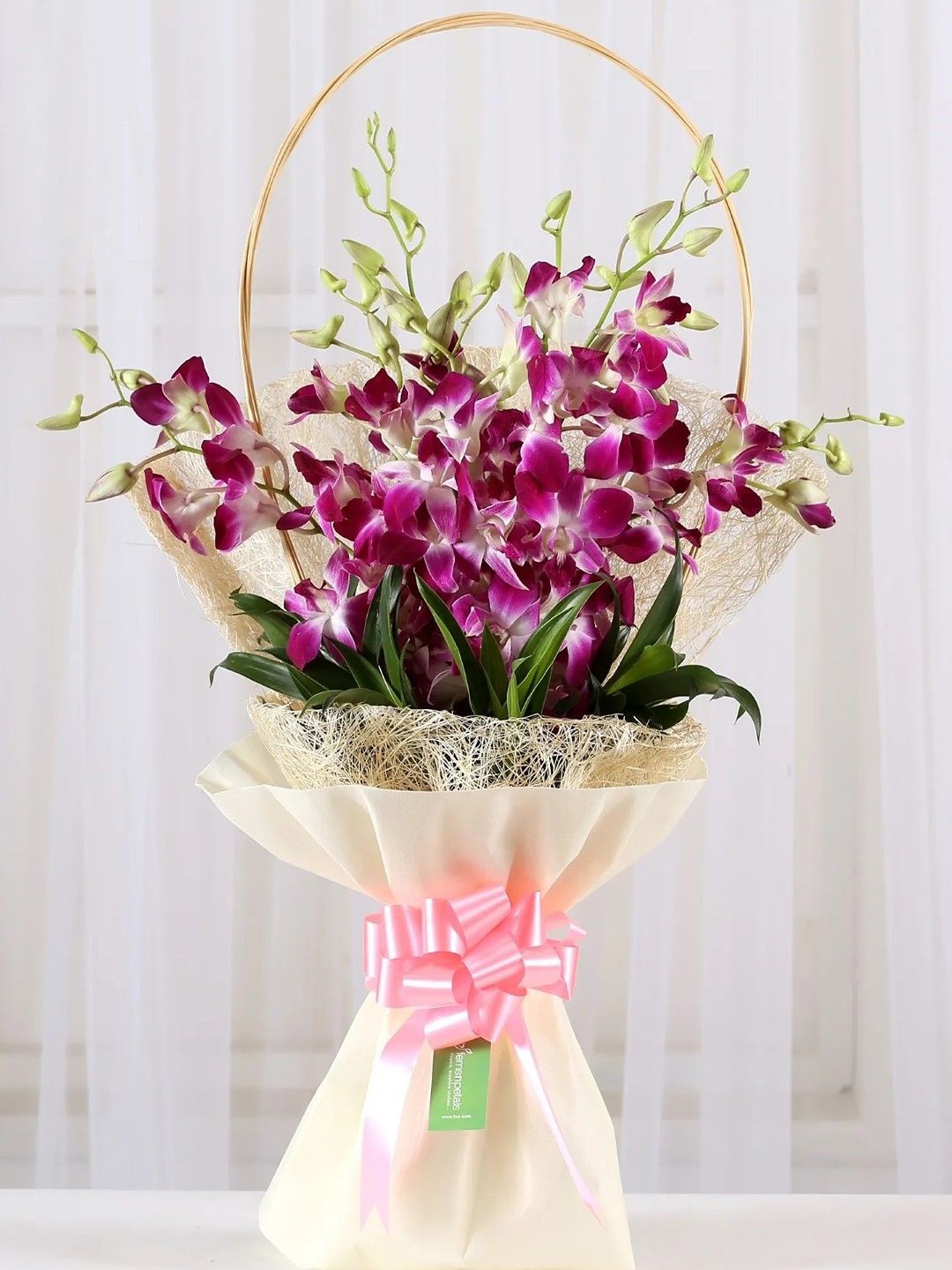 

fnp Purple & Green 6 Pieces Orchids Fresh Flowers Bouquet