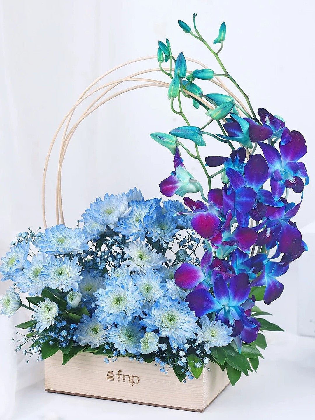 

fnp Blue & Navy Blue 6 Pieces Orchid & Oasis Fresh Flowers Basket