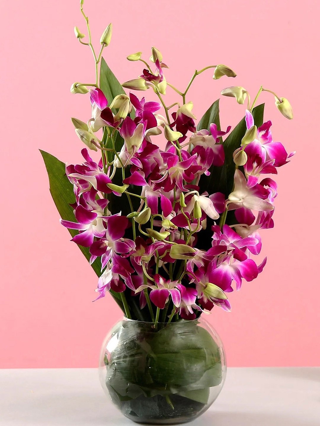 

fnp Purple & Green 6 Pieces Orchids Fresh Flowers In Glass Vase