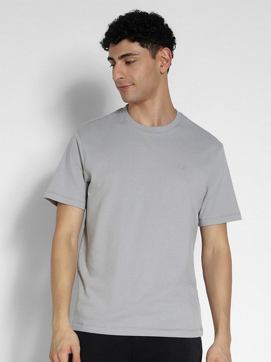 

AMERICAN EAGLE OUTFITTERS Men Solid Round Neck T-shirt, Grey