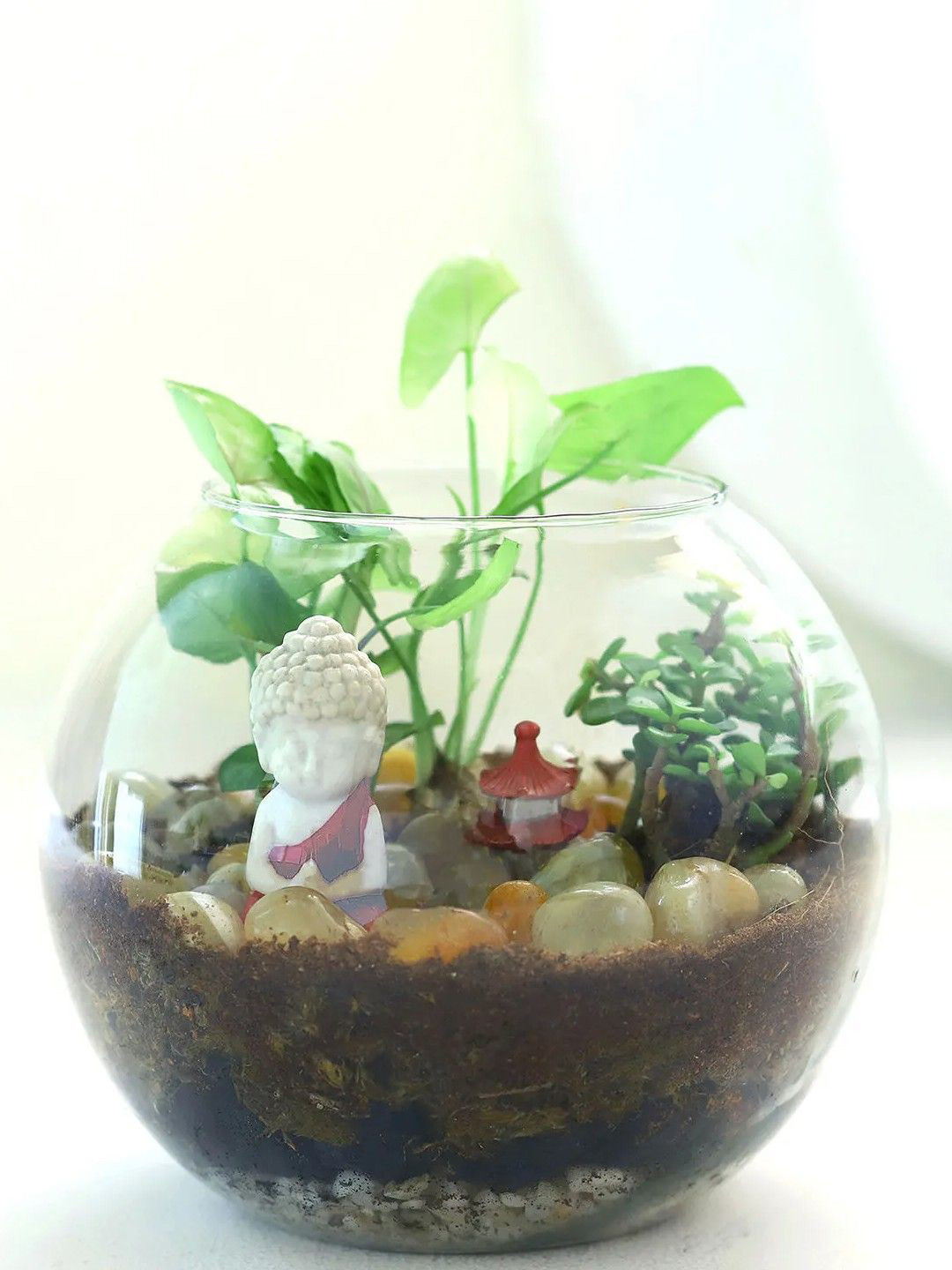 

fnp Green Indoor Jade N Syngonium Plant With Bowl