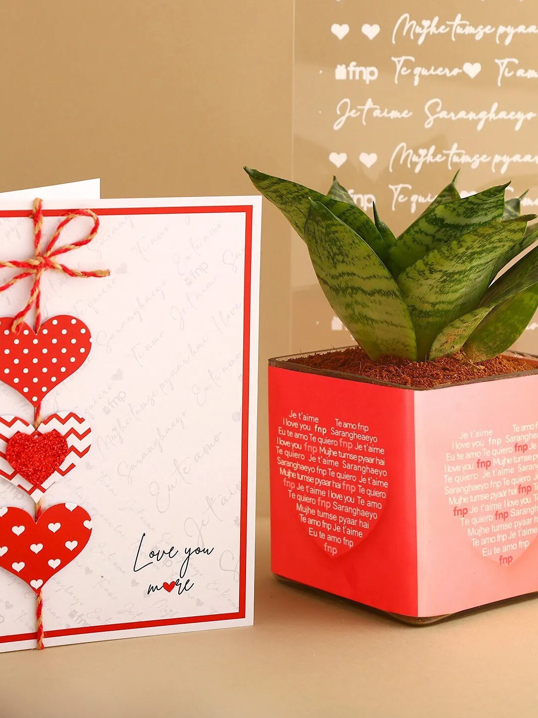 

fnp Sansevieria Plant With Planter & Greeting Card, Green