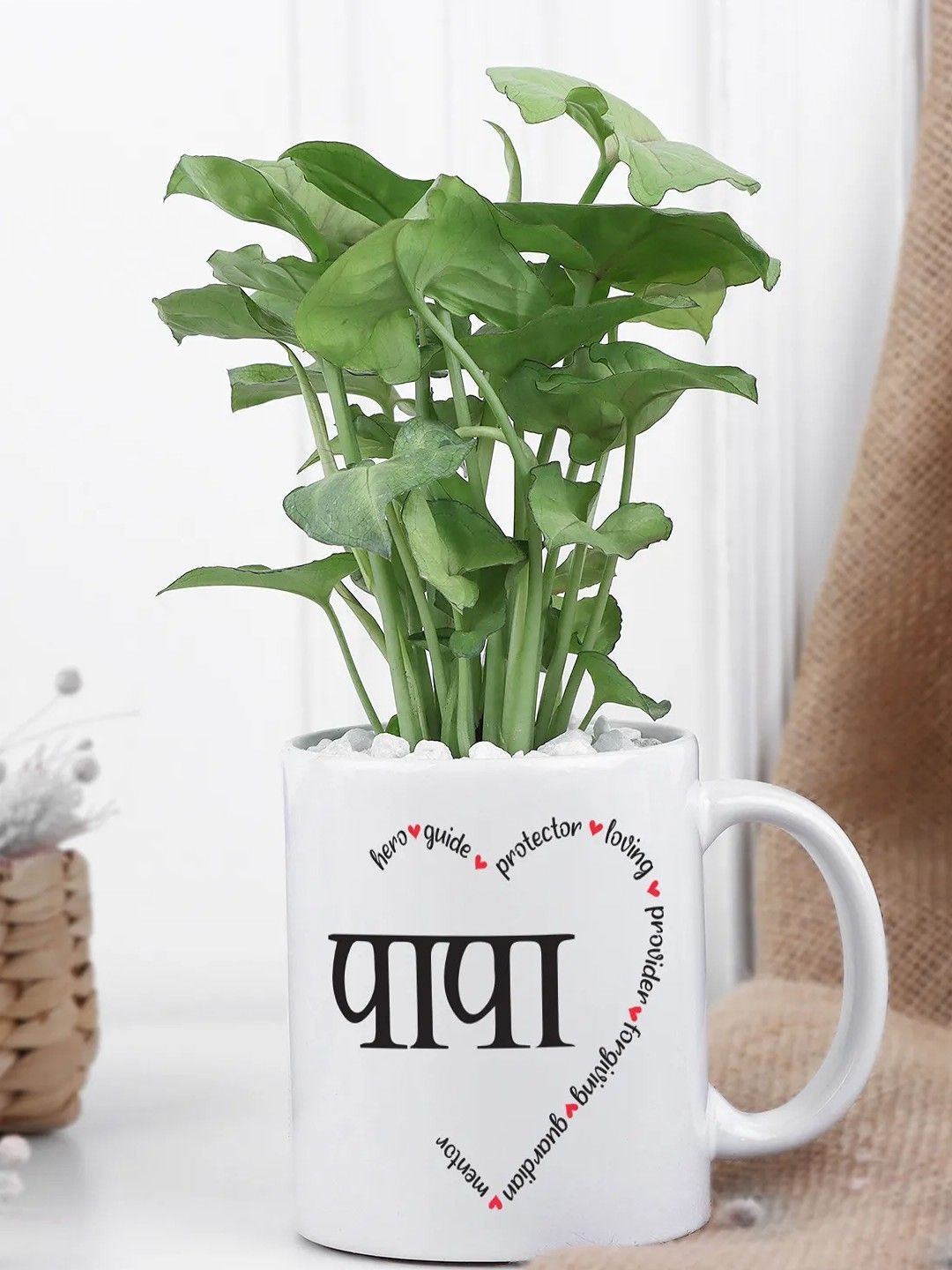

fnp Green & Beige Syngonium Plant With Pot