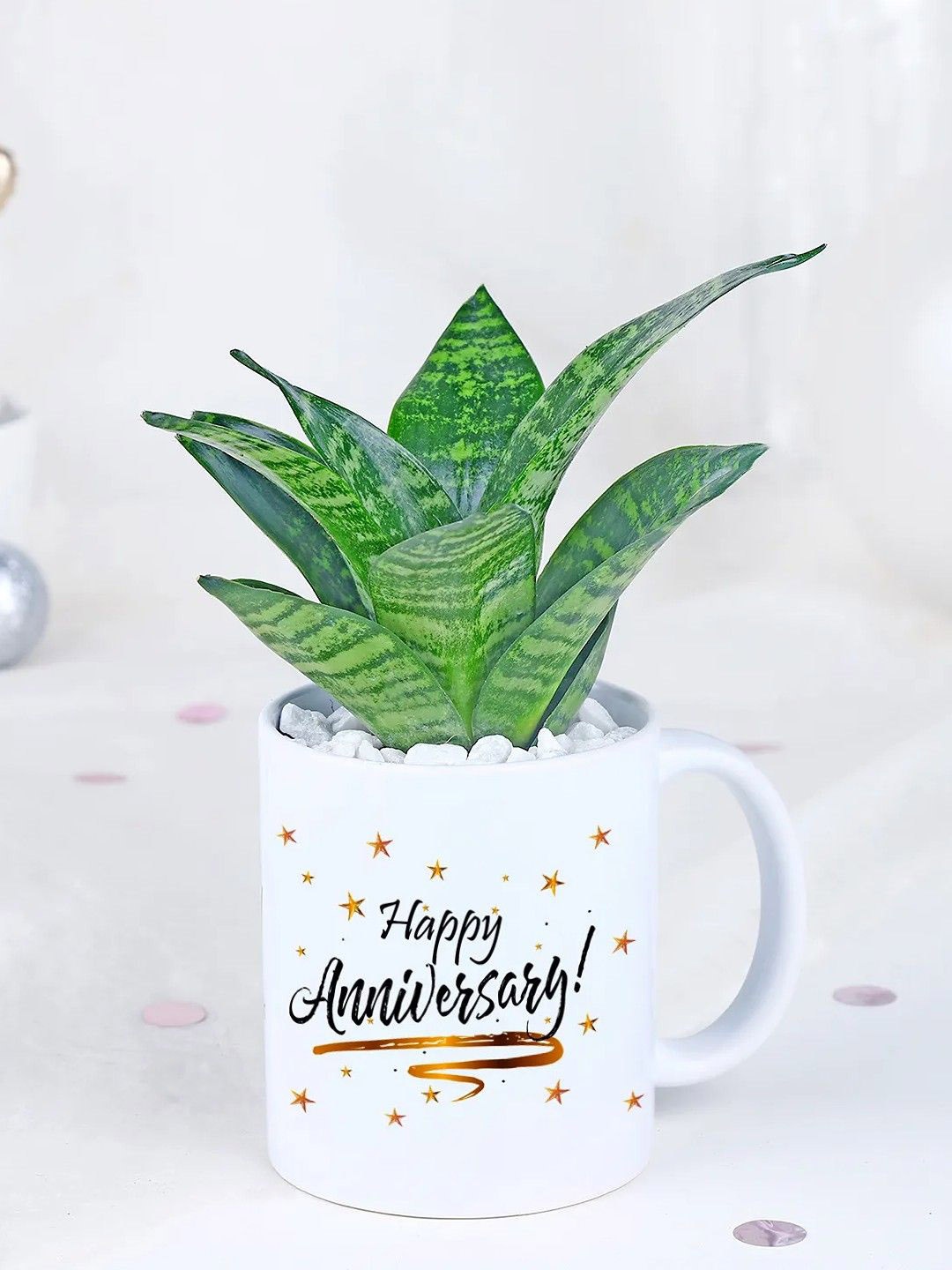 

fnp Green & White Sansevieria Plant With Pot