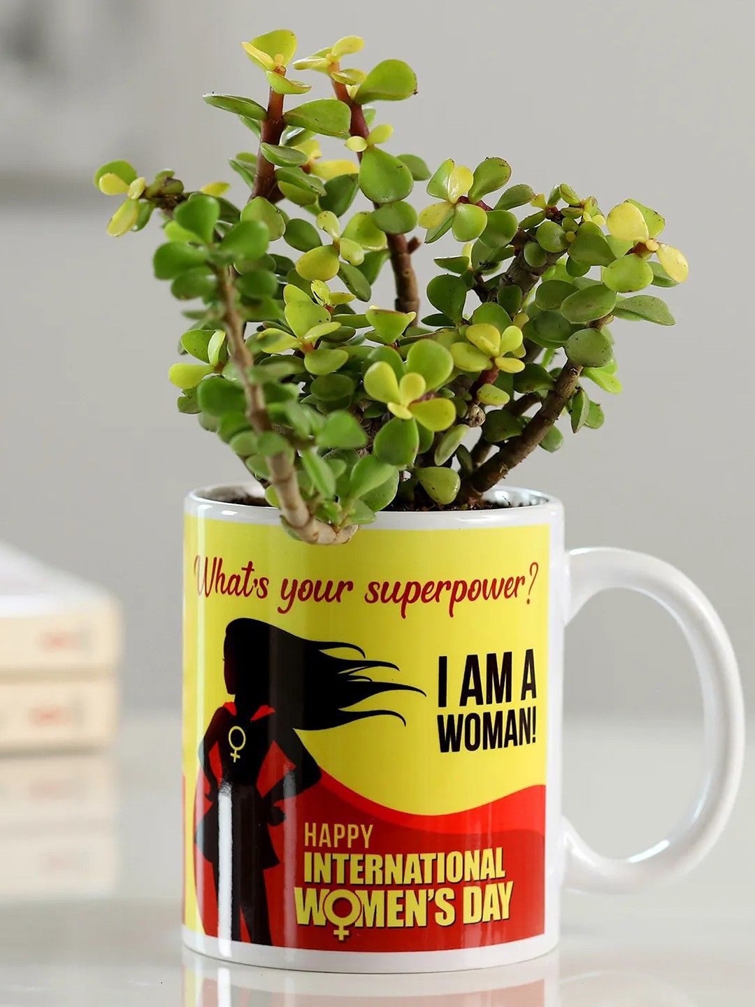 

fnp Green Indoor Jade Plant With Mug- 5inch