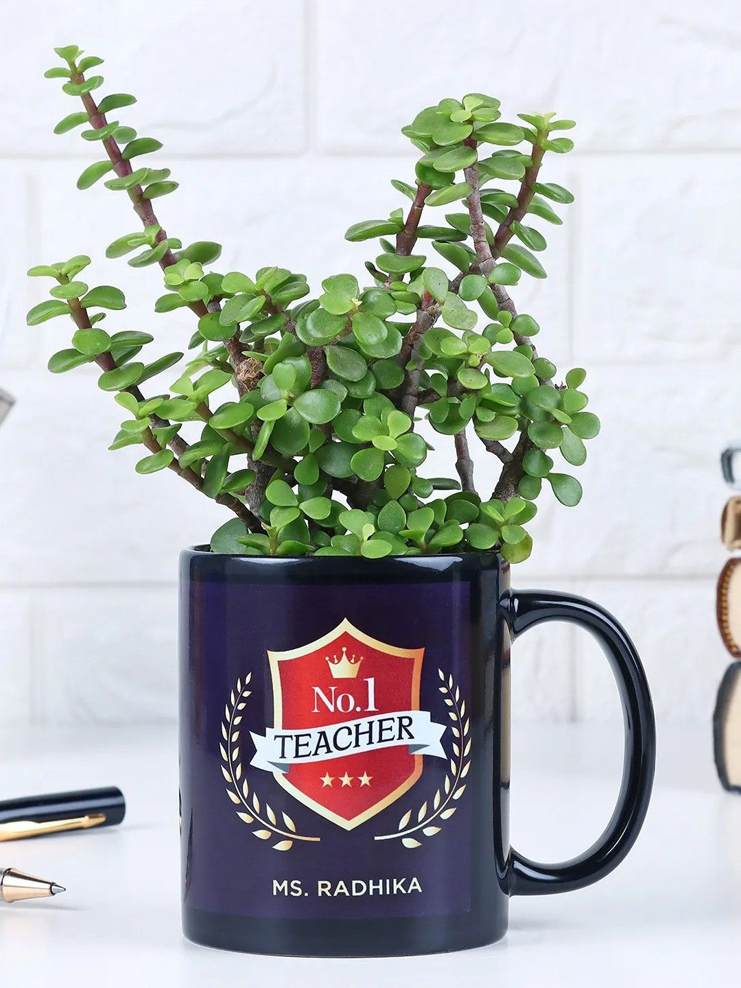 

fnp Green & Navy Blue Jade Plant With Mug