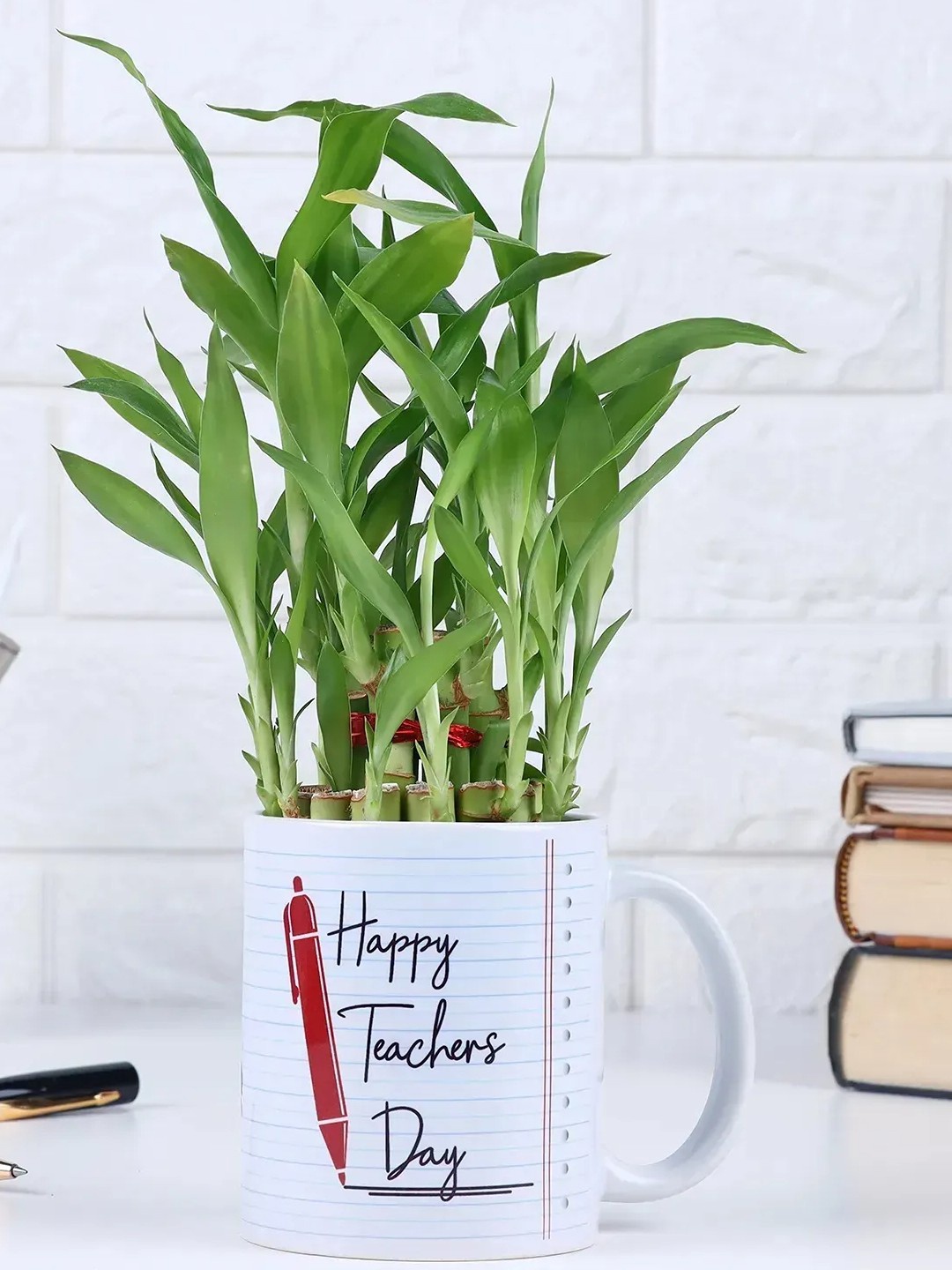 

fnp Indoor Bamboo Plant With Pot- 5 Inches, Green