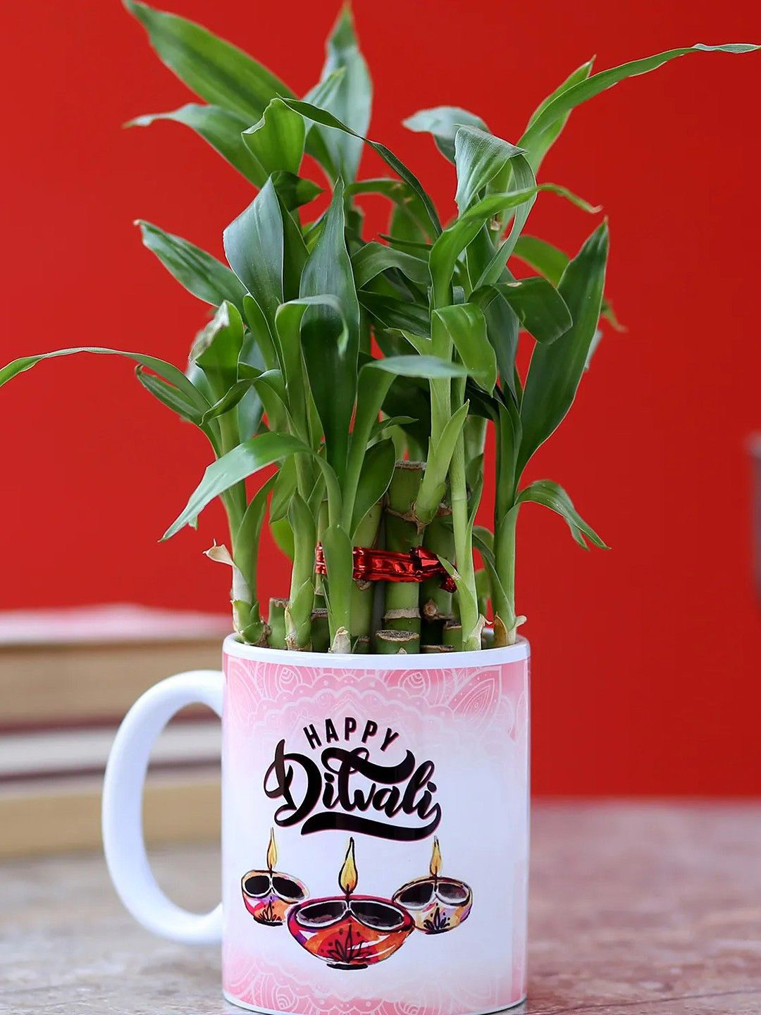 

fnp Green Bamboo Plant With Mug