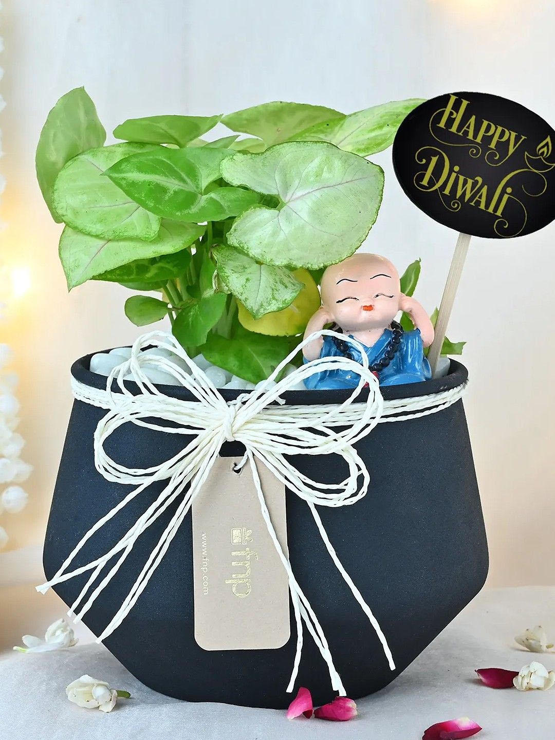 fnp Green Syngonium Plant With Pot